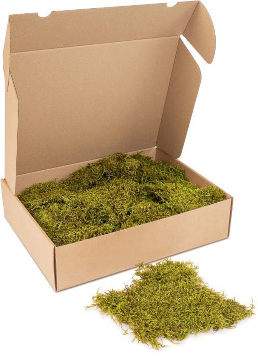 Kleine doos platmos - kleur mos: Spring Green (voor o.a. decoratie, mosschilderij of moswand).