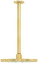 Waterevolution Qisani Flow hoofddouche 25cm met plafonddouchearm Gold / Goud