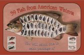 Wandbord - 39 Fish From American Waters