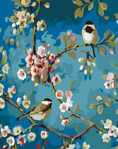 Joeni® - Peinture par numéros - 40x50cm - Emballage cadeau - Oiseaux dans les branches fleuries - Toile libre