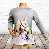 Meisjes shirt paard met vogels en poes grijs - 86/92