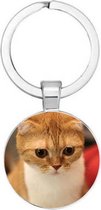 Akyol - Kat sleutelhanger - Sleutelhanger Kat - Katten pootjes Sleutelhanger - Katten - Poesje sleutelhanger - Cadeau kat - Cat keychain - Kattenspeelgoed