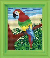 Pixel hobby geschenkdoos Papegaai