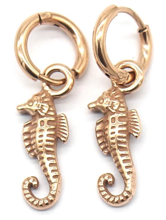Boucles d' Boucles d'oreilles avec hippocampe - Boucles d'oreilles en acier  inoxydable... | bol.com