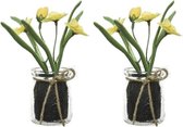 6x Gele Narcissus/narcissen kunstplanten 15 cm in glazen pot - Kunstplanten/nepplanten -  Pasen/voorjaar versiering/decoratie
