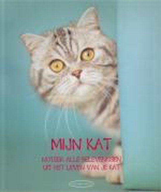 Mijn Kat