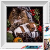 Artstudioclub®  Diamond painting volwassenen DierenKat en hond  30 x 30 cm