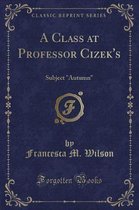 A Class at Professor Cizek's