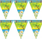 Set van 4x stuks vlaggenlijnen Hawaii Aloha thema 5 meter - Tropische feestartikelen versieringen