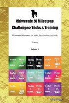 Chiweenie 20 Milestone Challenges