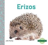 Herizos (Hedgehogs)
