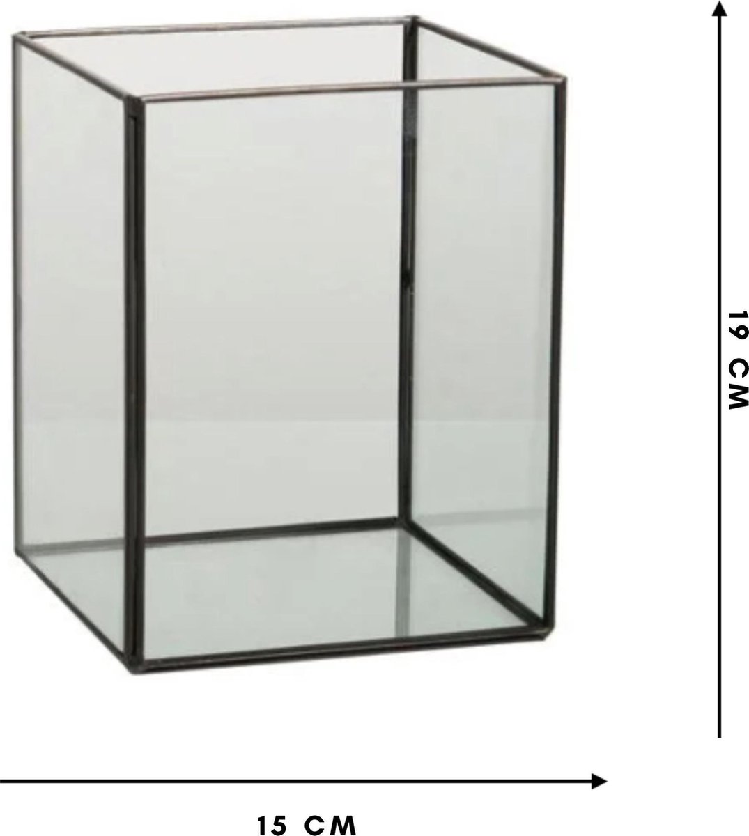 Terrarium vierkant - 15 x 15 x 19 - glas - wonen - woonaccessoires -  schalen - stolp -... | bol.com