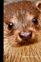 gazing otter: small lined Otter Notebook / Travel Journal to write in (6'' x 9'')