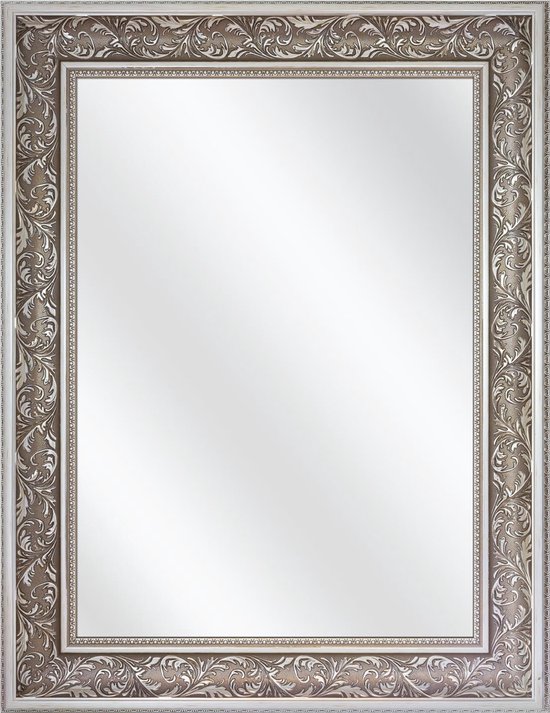 Overzicht Helemaal droog boeket Spiegel met Lijst - Zilver - 40 x 60 cm - Sierlijk - Barok - Buitenmaat: 58  x 78 cm | bol.com