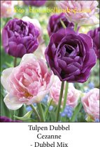 tulp Mengsel Cezanne dubbel mix 25 bollen maat 12/+