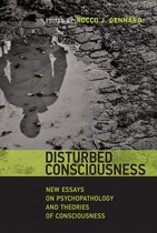 Philosophical Psychopathology - Disturbed Consciousness
