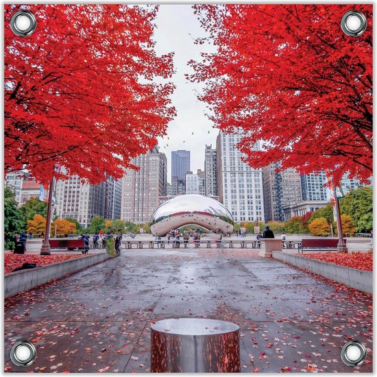 Tuinposter –Millennium Park - Chicago-80x80 Foto op Tuinposter  (wanddecoratie voor buiten en binnen)