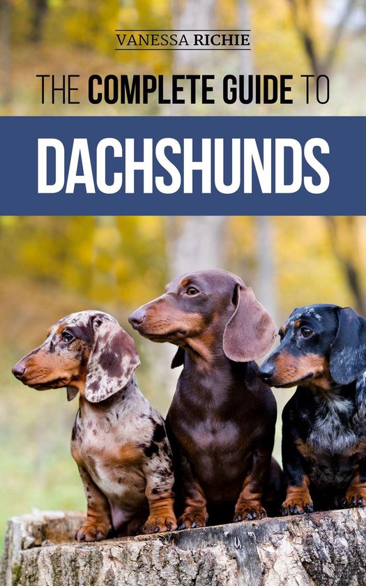 Drie dachshunds op een boomstronk: een dapple, een bruine en een black and tan.