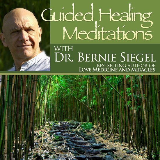Guided Healing Meditations - cover