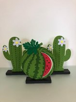 decoratieve cactus/watermeloen (vilt) - set van 3 stuks