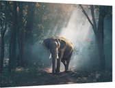 Olifant in oerwoud - Foto op Canvas - 150 x 100 cm
