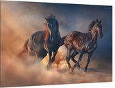 Zwarte hengsten in de woestijn - Foto op Canvas - 150 x 100 cm