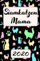 Siamkatzen Mama 2020