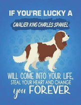 If You're Lucky A Cavalier King Charles Spaniel Will Come Into Your Life, Steal Your Heart And Change You Forever
