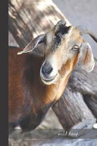 wild hoof: small lined Goat Notebook / Travel Journal to write in (6'' x 9'') 120 pages