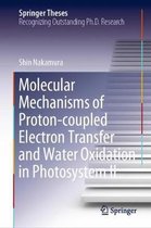 Molecular Mechanisms of Proton-coupled Electron Transfer and Water Oxidation in Photosystem II