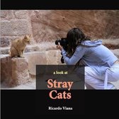 Stray cats: a look at