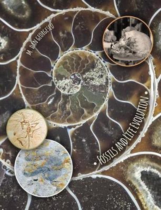 Fossils and Life Evolution 9781524962128 M. Dan Boeken