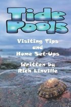 Tide Pools Visiting Tips and Home Set-Ups