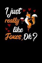 I Just Really Like Foxes, Ok?: Cute Fox Notebook
