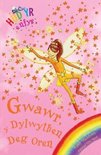 Cyfres Hud yr Enfys: Gwawr y Dylwythen Deg Oren