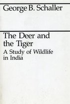 The Deer & the Tiger