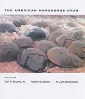 The American Horseshoe Crab