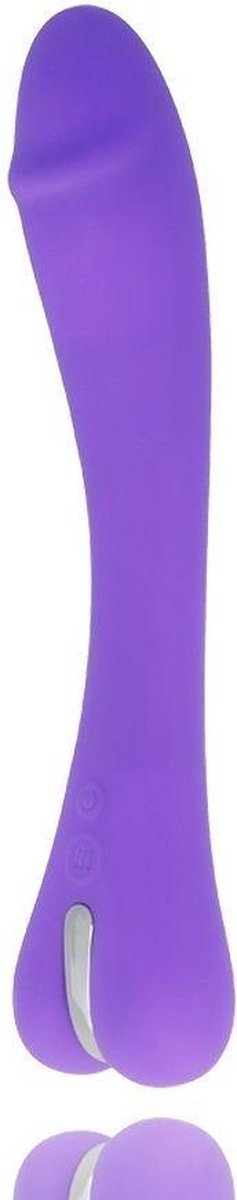 MR. BOSS | Mr Boss Enzo Vibrator Purple
