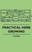 Practical Herb Growing