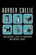 Border Collie, Because Life Is Boring Without One: Blank Lined Journal, 6 x 9