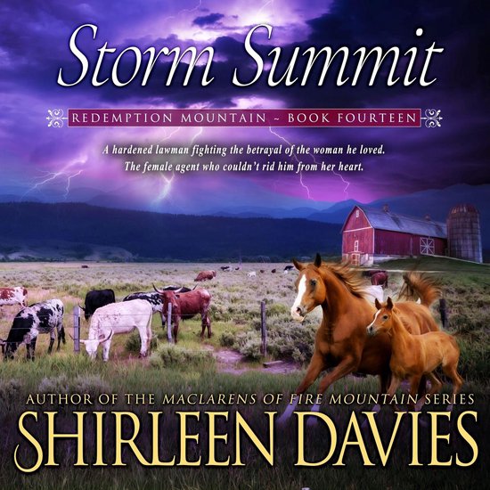 Storm Summit - cover