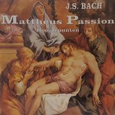 Mattheus Passion - Hoogtepunten