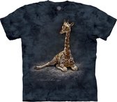 T-shirt Giraffe Calf