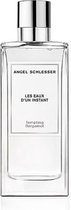 Eau de Cologne Les Eaux D'Un Instant Angel Schlesser EDT (150 ml)