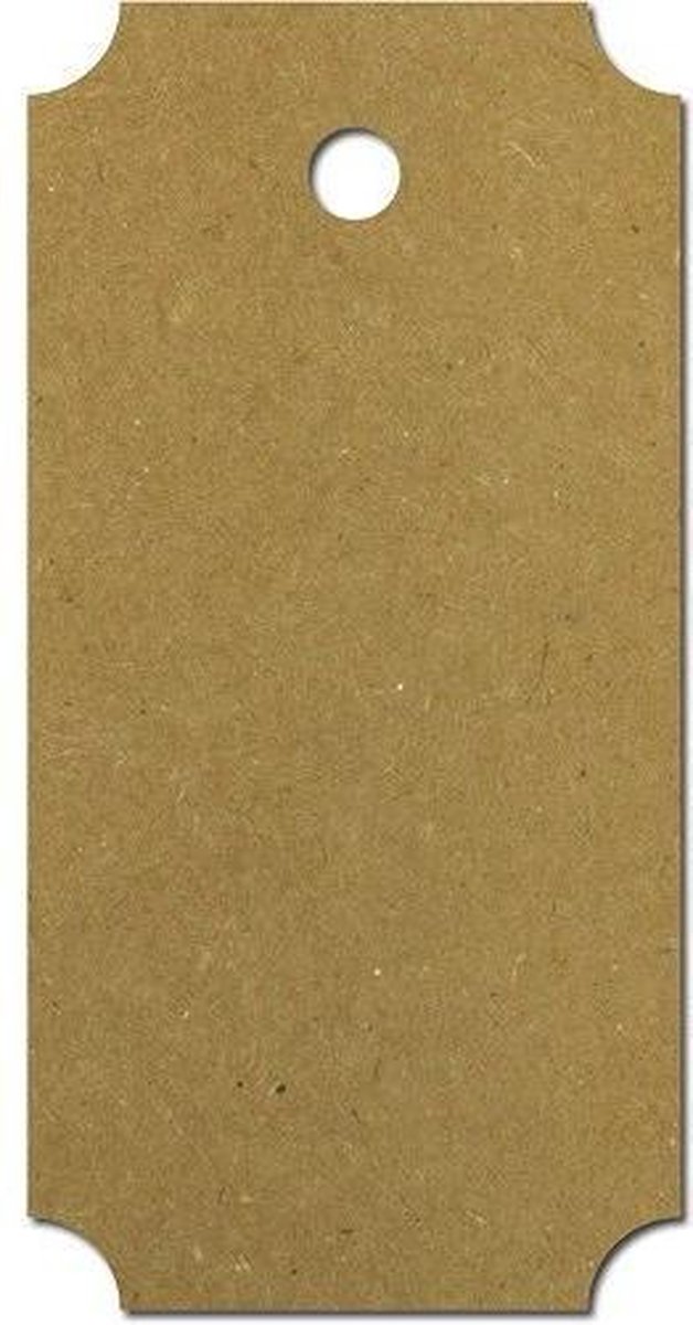 Meyco Hobby - 10 Cadeau Kaartjes met touw - Kraft Rechthoek