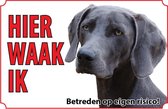 Bord Weimarse-staande-hond