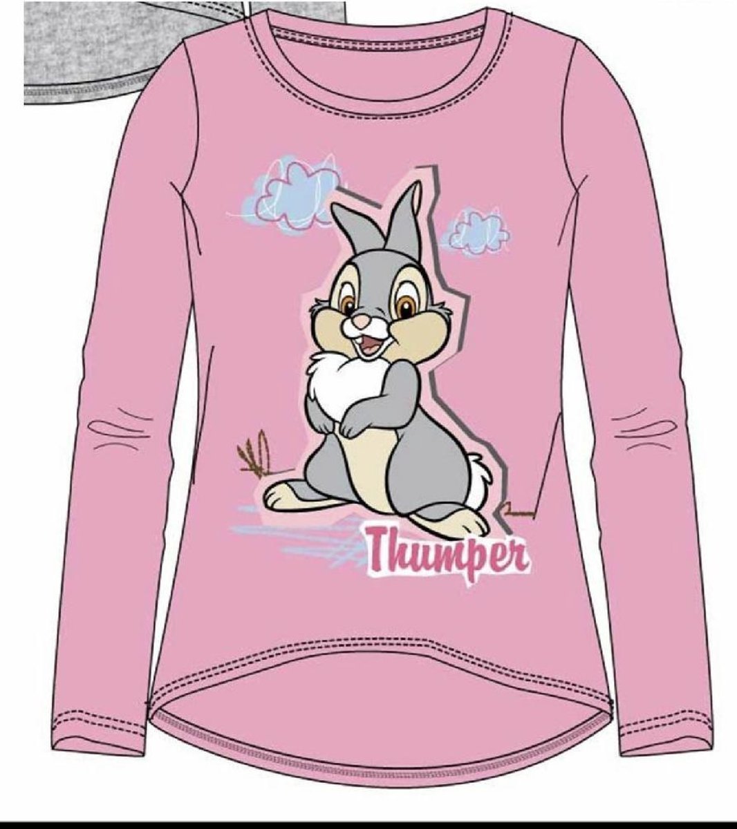 Disney stampertje longsleeve roze maat 98/104