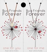 Mannies Vriendschapsketting / Wensketting met leuke boodschap – Één voor jou, een voor je vriend(in)! – Zilver en goudkleurig - ‘Bug friends forever’