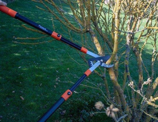 Garten Primus Telescopische takkenschaar met tandwiel — afbeelding 4