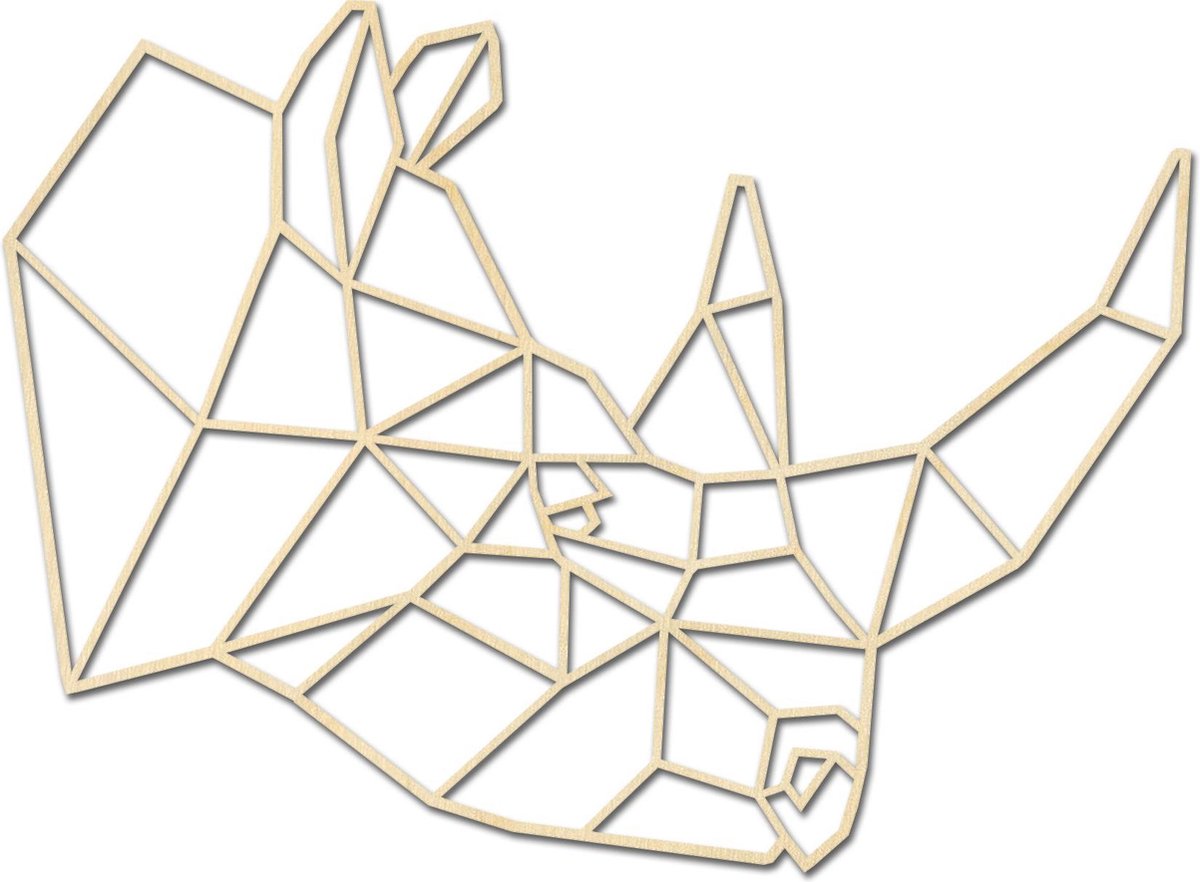 Geometrische Neushoorn / Dieren